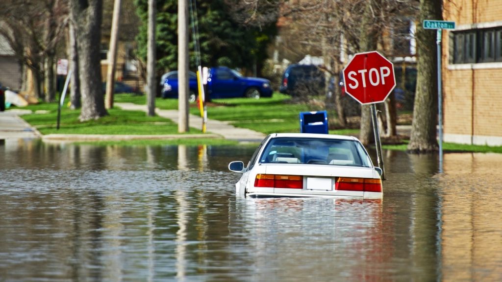 Check Water-Damaged Vehicles